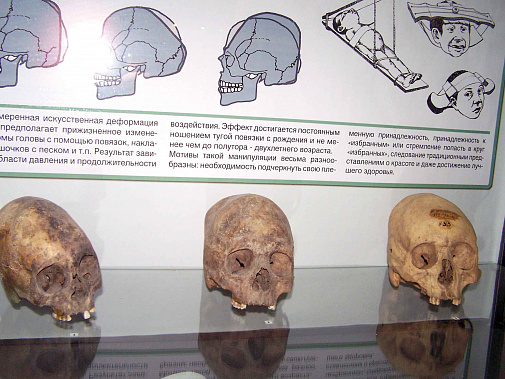 Возможно, обладатели этих искусственно деформированных черепов были элитой.