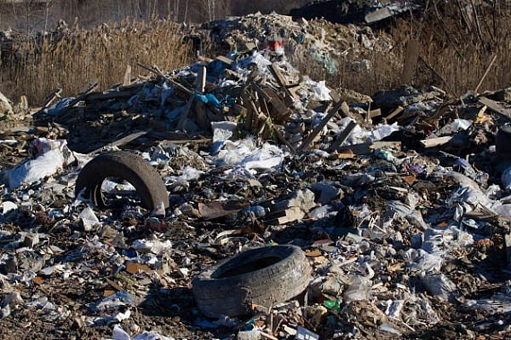В Ростовской области за год убрали более тысячи свалок
