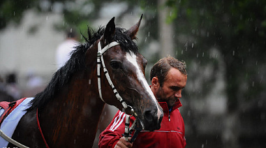 Ростовский ипподром закрывается. Говорят, навсегда…