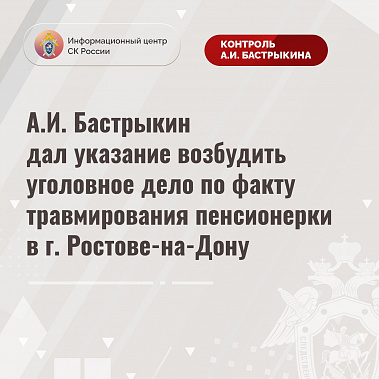﻿﻿Александр Бастрыкин поручил провести проверку по обращению о ненадлежащем содержании школы в Батайске
