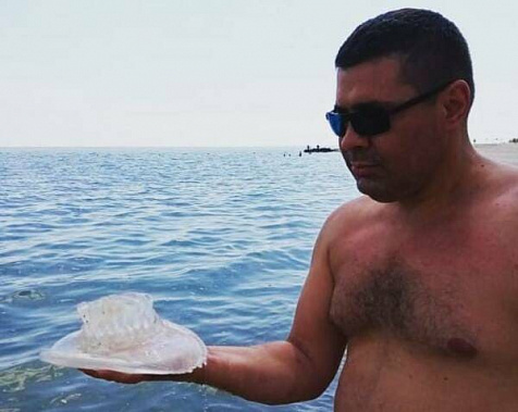 Гигантская медуза, выловленная в Азовском море, напугала жителей Таганрога