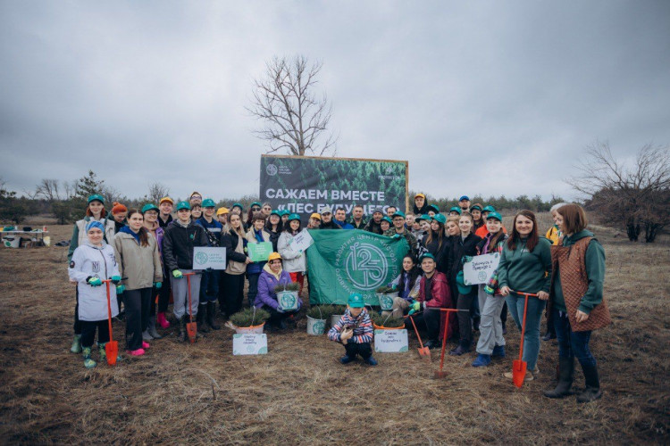 Волонтеры в Цимлянском районе высадили крымские сосны