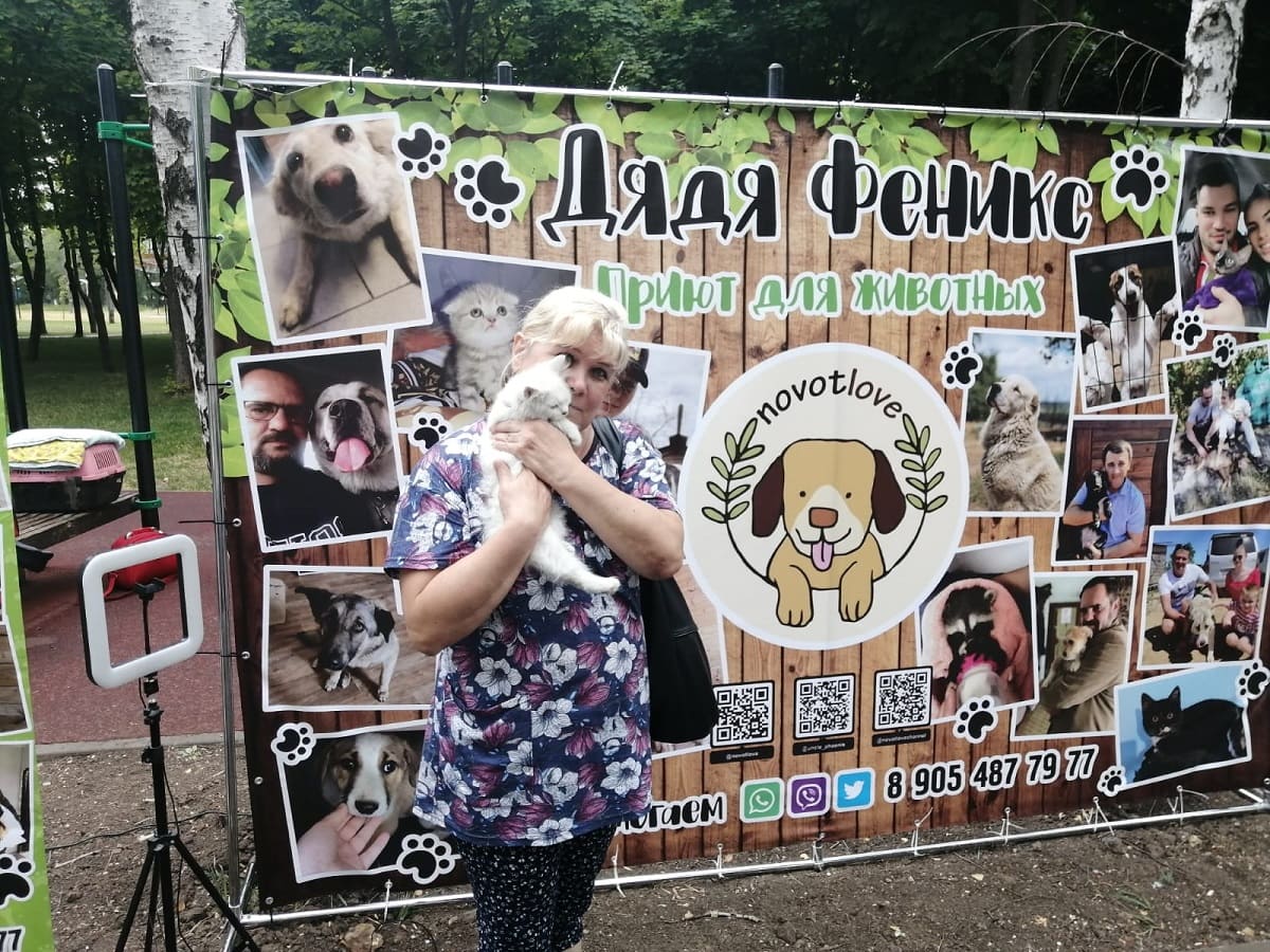 В Новочеркасске бездомные животные найдут новых хозяев на «Ярмарке добра»