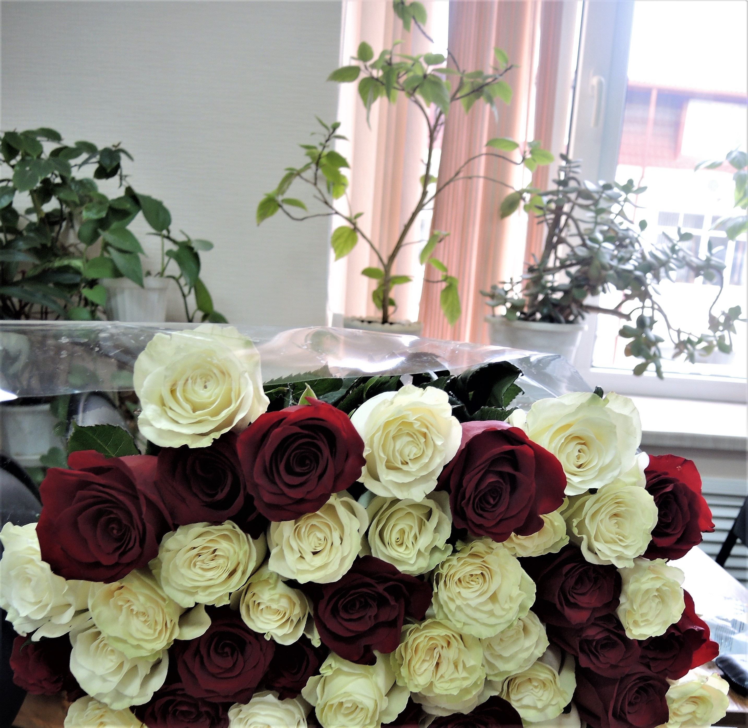 Двойной праздник: весна, красота и юбилей! - Новости, 08.03.2026