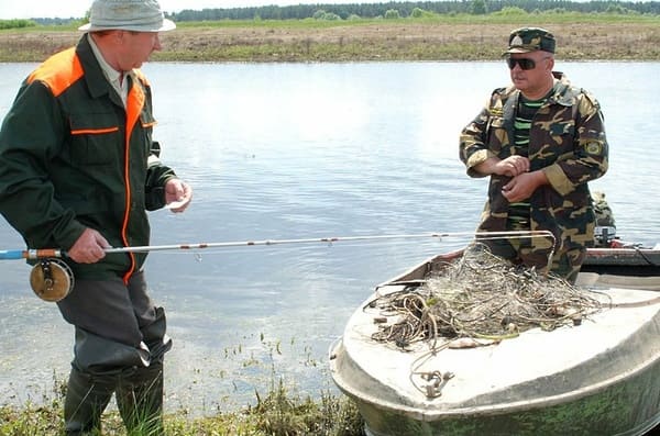 В Ростовской области вступают ограничения по рыбной ловле