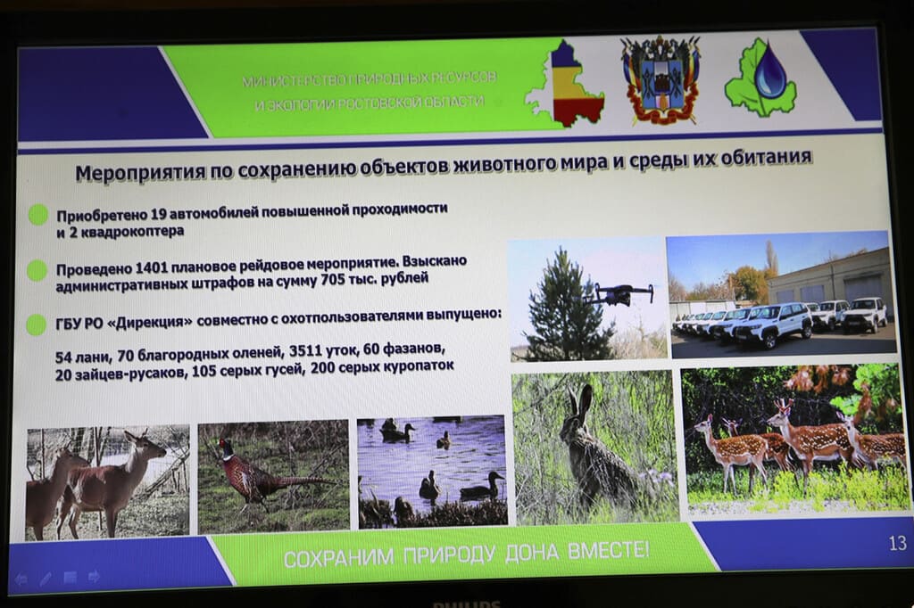 Леса Ростовской области за год увеличатся на 1,7 тысяч гектаров