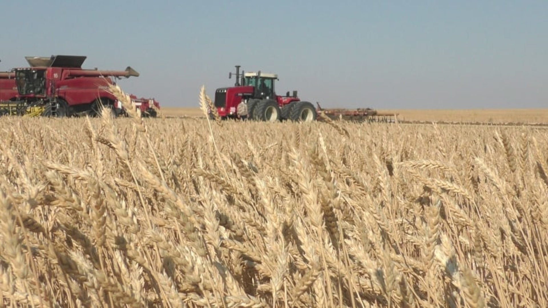 В Ростовской области убрано больше двух с половиной миллионов тонн зерна