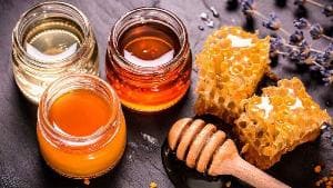 На донских прилавках может появиться мед с антибиотиками