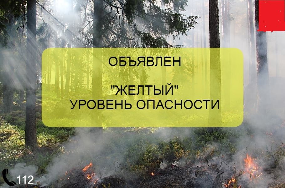 На фоне грянувшей июльской жары на Дону сегодня объявлен желтый уровень пожароопасности - Новости, 08.07.2025