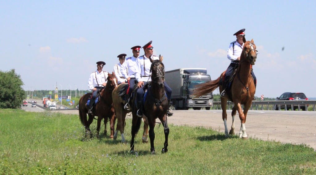 Конные казачьи патрули привлекли в Ростовской области к выявлению ландшафтных пожаров