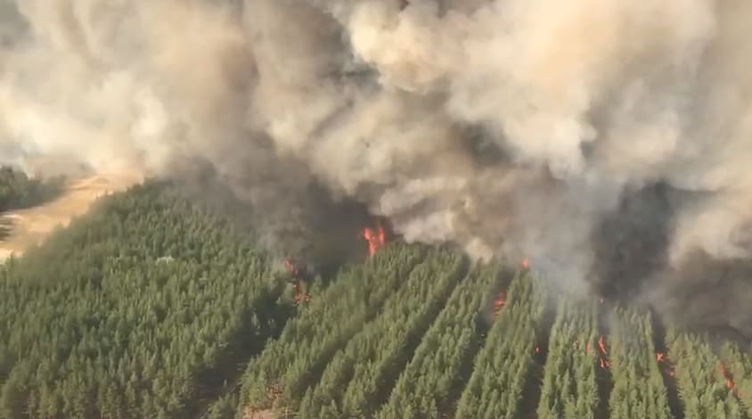 В четырех районах Ростовской области тушат ландшафтные пожары