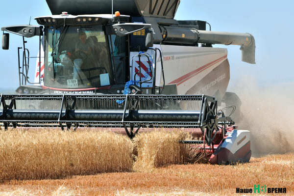 В Ростовской области собрали более 11 миллионов тонн зерновых