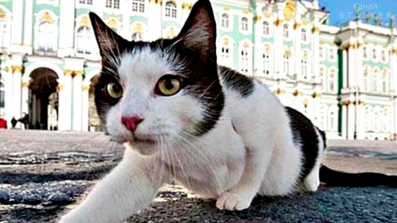Что можно отметить в этот день - Новости, 08.06.2026