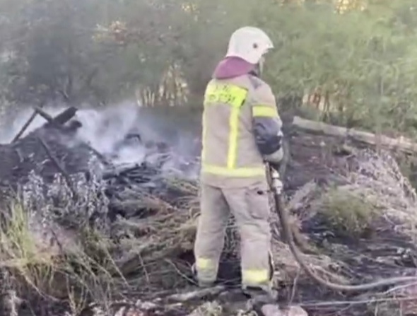 В Ростовской области на этой неделе произошло более 100 ландшафтных пожаров 