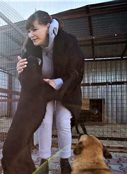 Про собак-проводников и компенсации - Новости, 28.03.2026