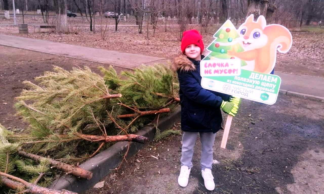 Ростовчане отдали на тырсу тысячи новогодних елок