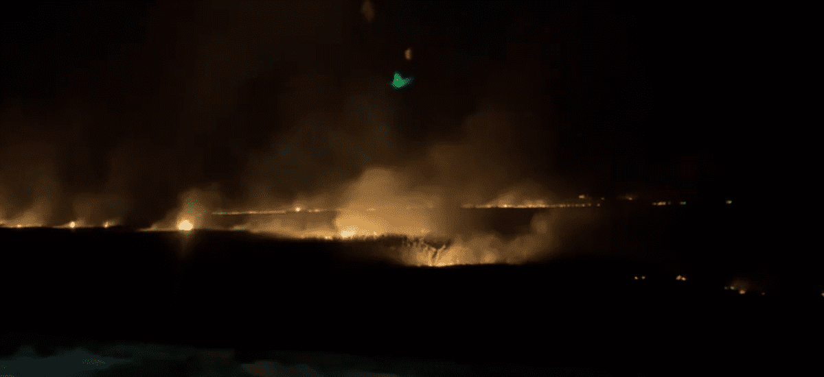 Весь вечер донские водители публиковали в социальных сетях жуткие и нетипичные для зимы кадры ландшафтного пожара под Семикаракорском. Весь вечер донские водители публиковали в социальных сетях жуткие и нетипичные для зимы кадры ландшафтного пожара под Семикаракорском.