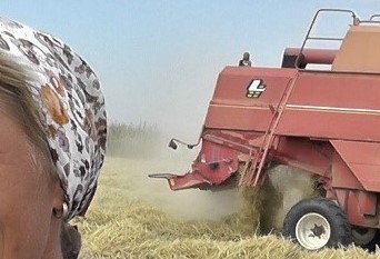 «Донские труженицы: от Великой Отечественной до наших дней»: продолжение следует - Новости, 14.11.2025