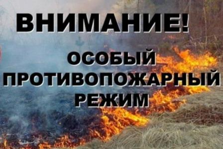На Дону установлен особый противопожарный режим