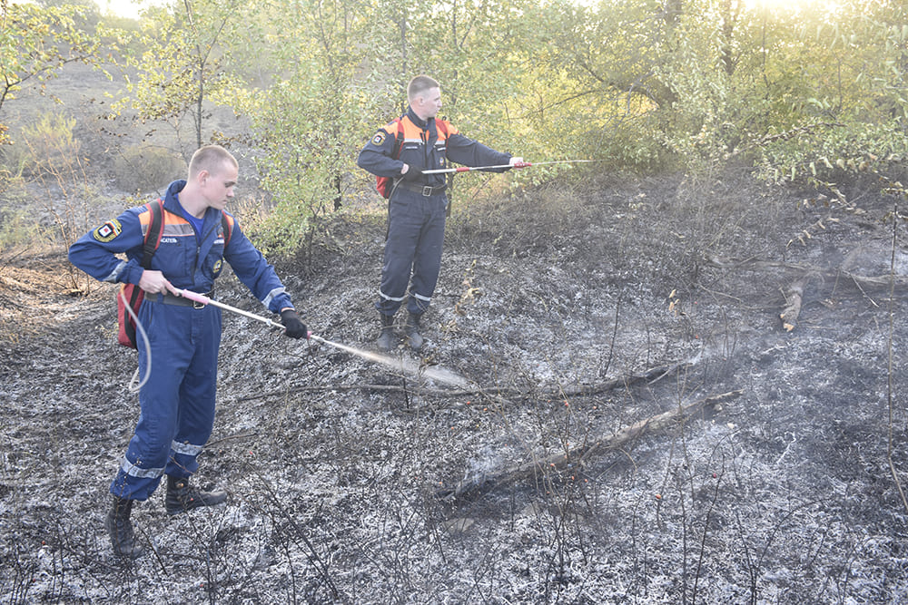 В Новошахтинске ликвидировали ландшафтный пожар