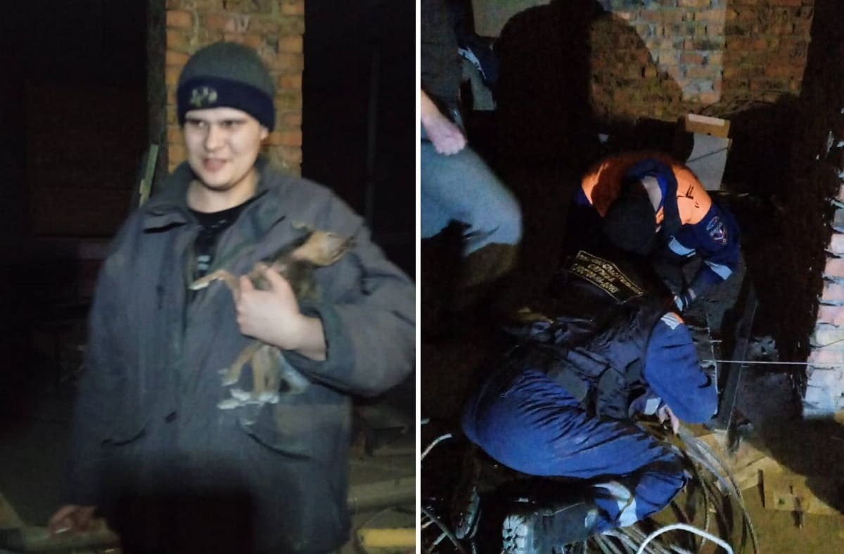 Ростовские спасатели вытащили той-терьера из вентиляционной шахты