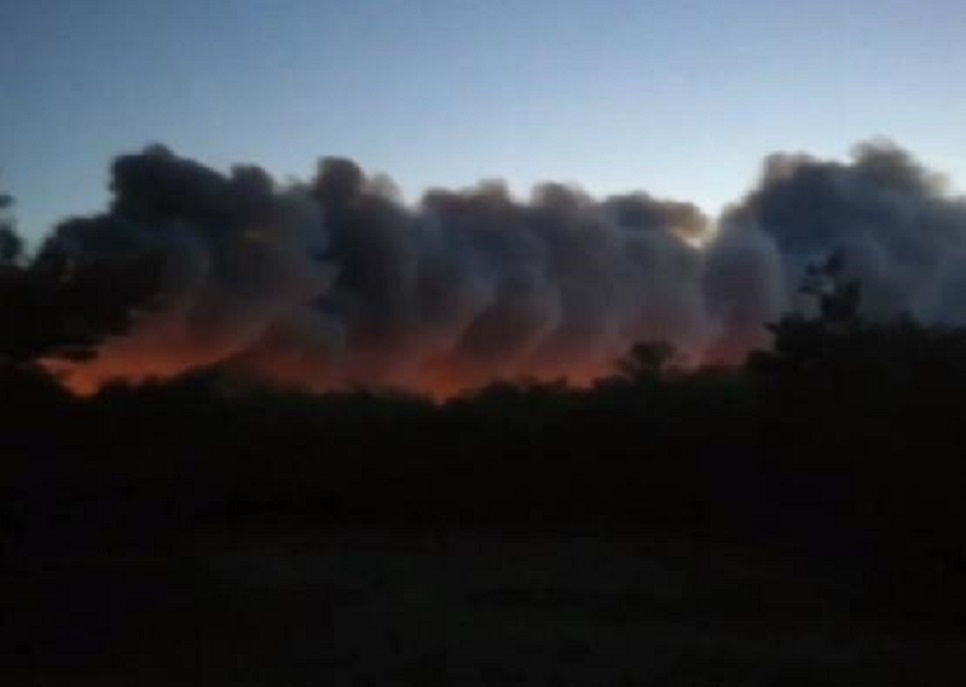 Скоро уже сутки, как в Каменском районе пожарные продолжают бороться с огнем в лесном массиве. Свежие данные от МЧС - Новости, 10.07.2025