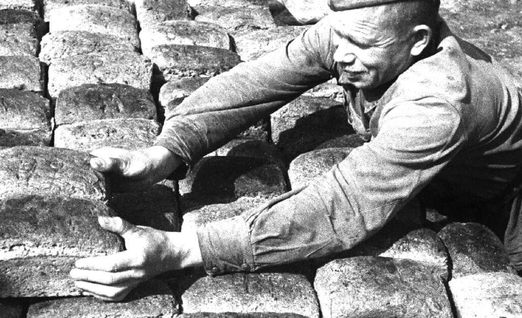 В прицеле – хлеб - Новости, 01.11.2025