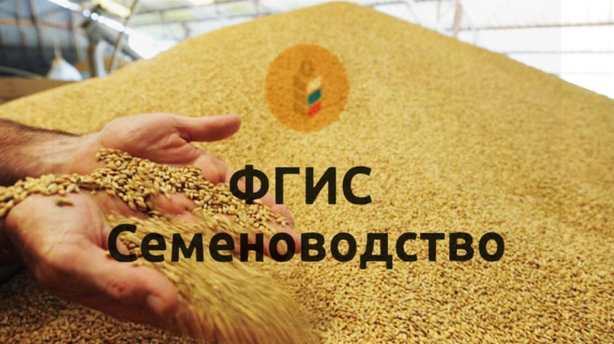 В Ростовской области все семеноводы будут включены в единую информационную систему