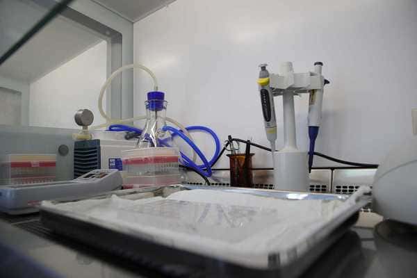 Еще три лаборатории Ростовской области готовятся к проведению анализов на коронавирус