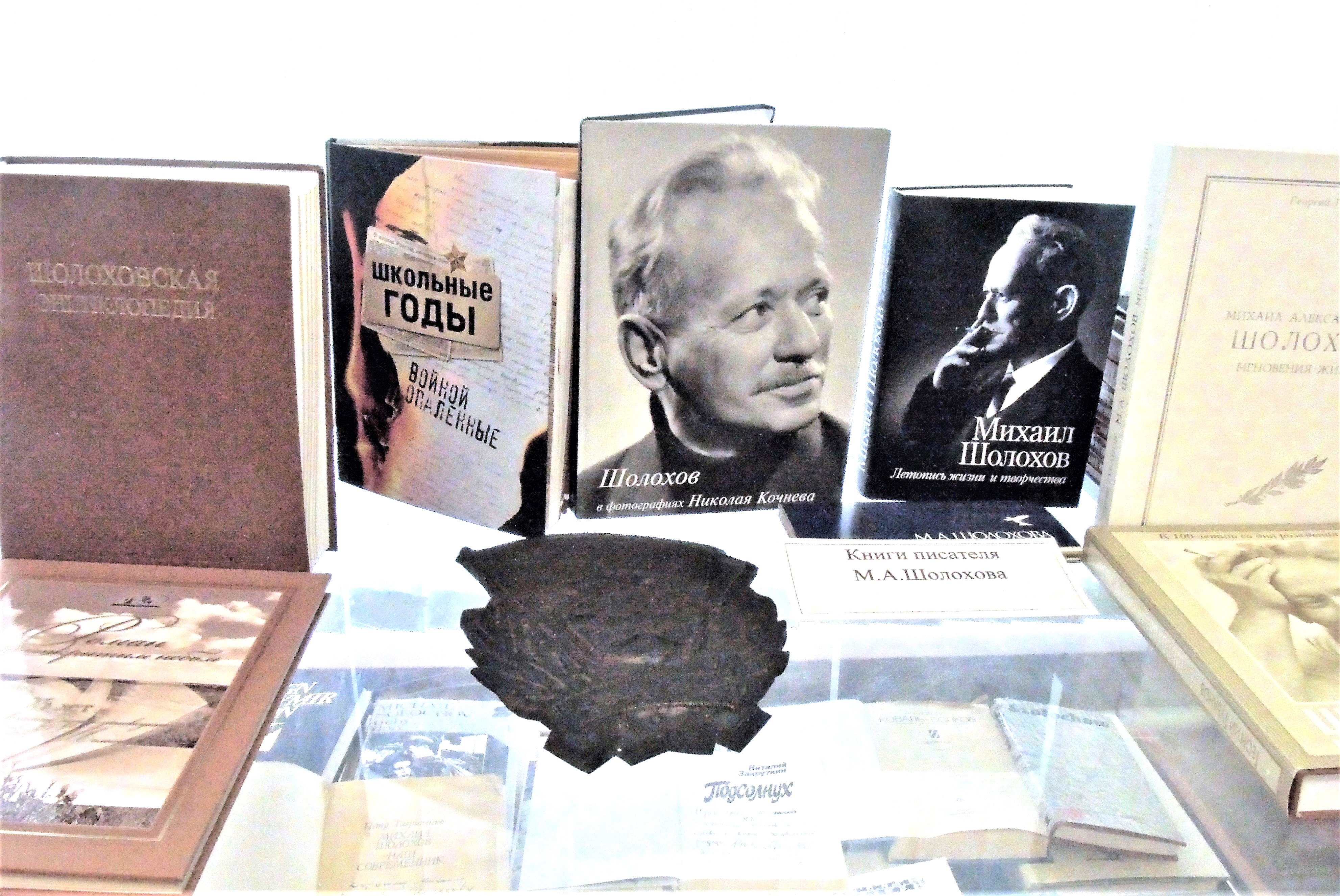 Школьников пригласили поучаствовать в конкурсе «Наш Шолохов» - Новости, 09.03.2026