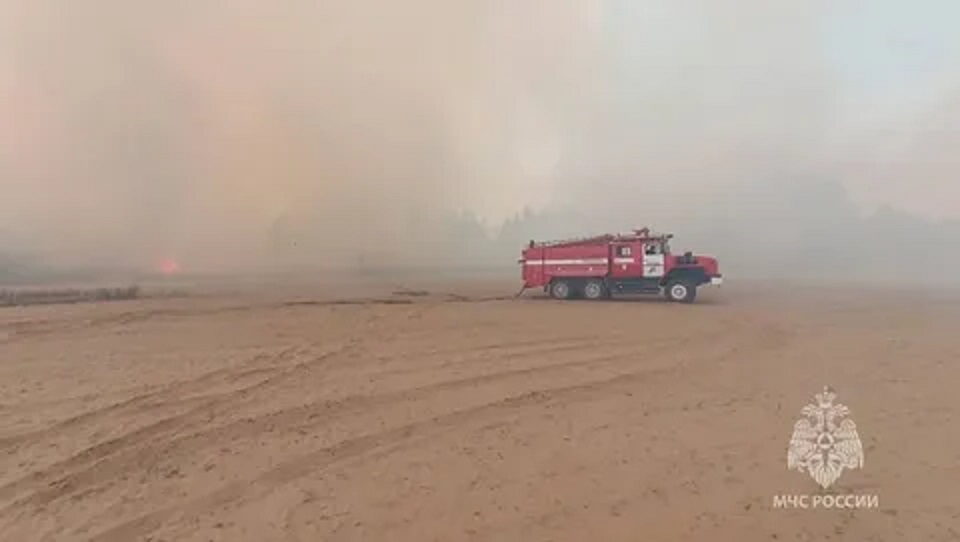 Крупный пожар в лесничестве Каменского района потушен - Новости, 10.07.2025