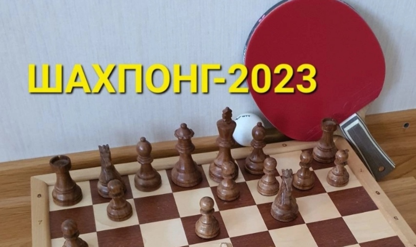 В Ростове шахматы и теннис объединились в шахпонг