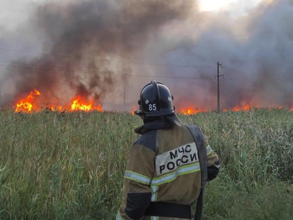 За истекшие сутки на Дону случилось 14 природных пожаров