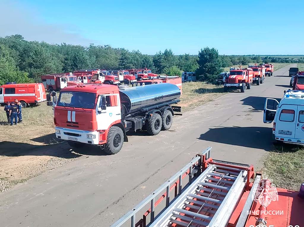 Пожар в Каменском районе Ростовской области уничтожил сотни гектаров леса - Новости, 10.07.2025