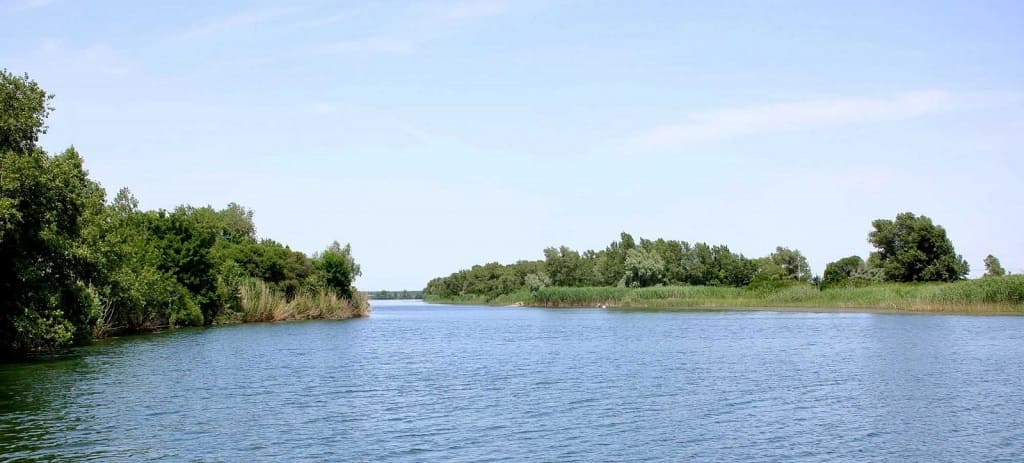 Новая экологическая тропа появится в природном парке «Донской»