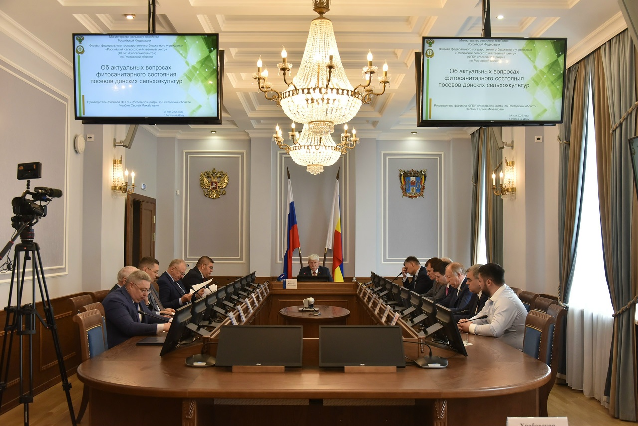 Как уберечь урожай-2026 от вредителей, болезней и сорняков: за «круглым столом» сегодня не обошли острых углов - Новости, 19.05.2026