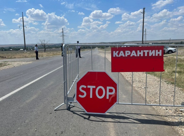 «Особо опасная болезнь животных» стала причиной введения карантина в двух районах Ростовской области - Новости, 11.03.2026