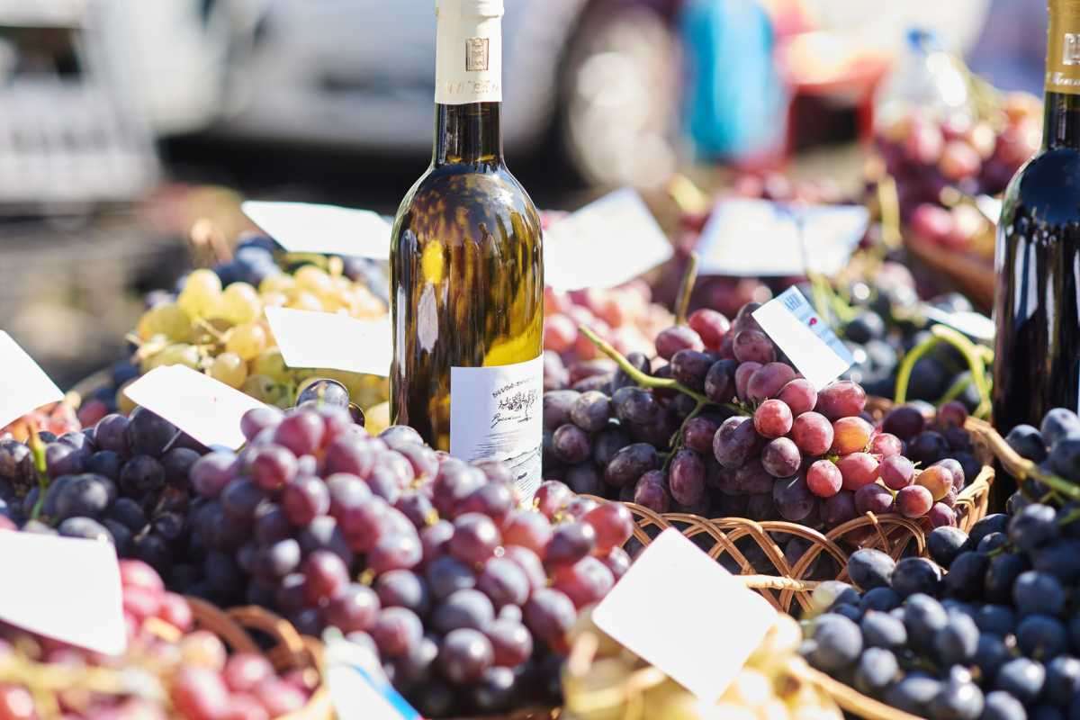 Областной закон «О развитии виноградарства и виноделия» призван сохранить на Дону знаковую отрасль