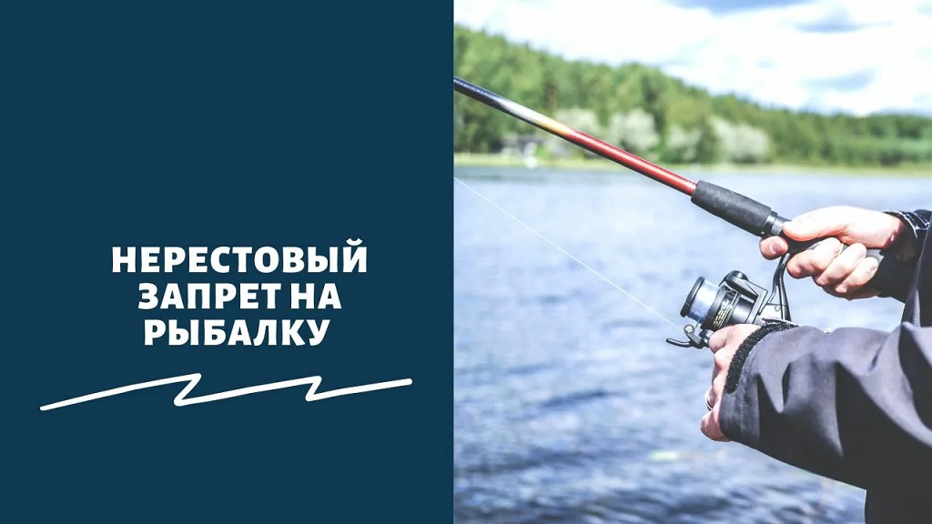 В Ростовской области вводится нерестовый запрет на рыбную ловлю В Ростовской области вводится нерестовый запрет на рыбную ловлю - Новости, 26.02.2026