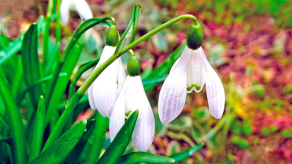 Что можно отметить в этот день - Новости, 19.04.2026