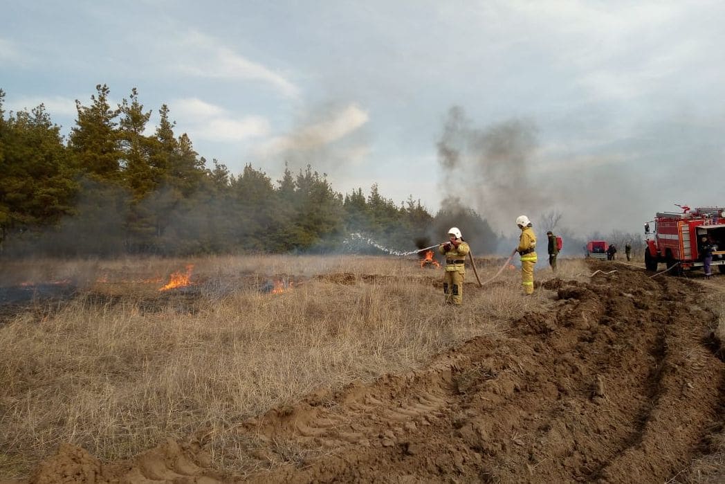 В Каменском районе прошли учения по тушению лесных пожаров