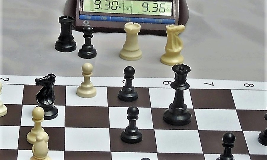 Донские шахматисты стартовали на рапидах в Ейске