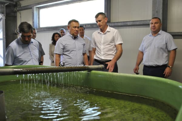 В Ростовской области на поддержу рыбохозяйственной отрасли выделили почти 96 миллионов рублей