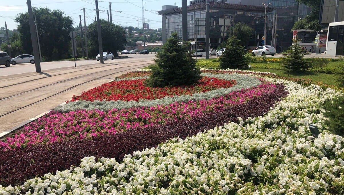 В Ростове-на-Дону засеют цветами почти 26 тысяч квадратных метров газонов и парков