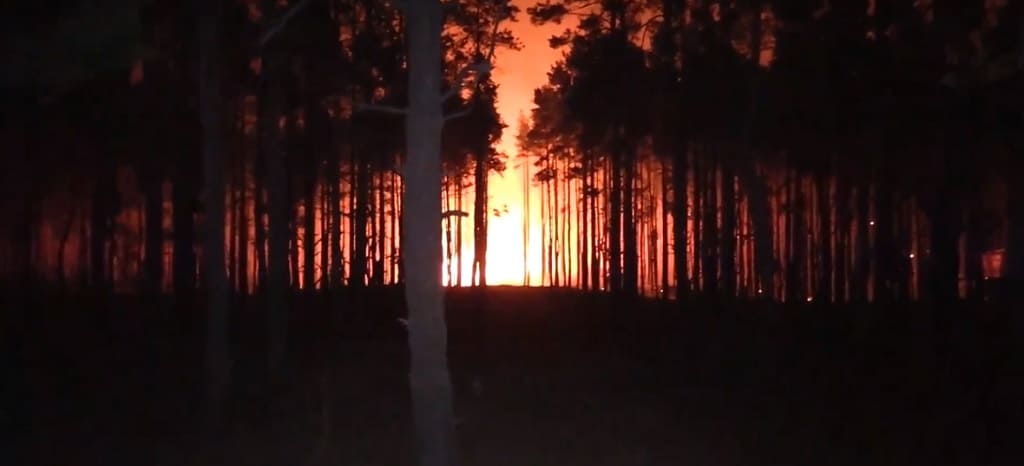 Из-за пожаров в трех районах Ростовской области ввели режим ЧС