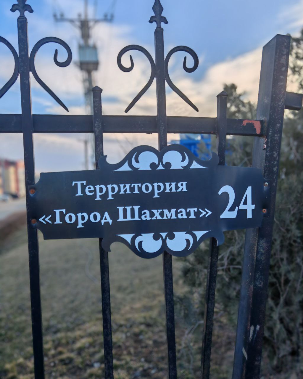 Шахматы: в Элисте сегодня завершился чемпионат ЮФО-2026 по блицу - Новости, 01.03.2026