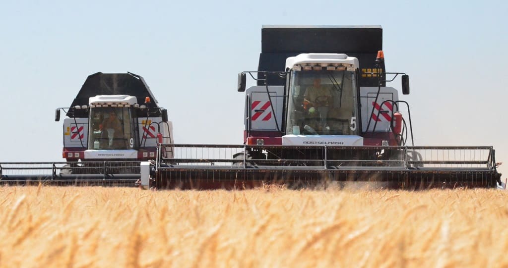В Ростовской области собрали 11 миллионов тонн зерна с 90% площадей