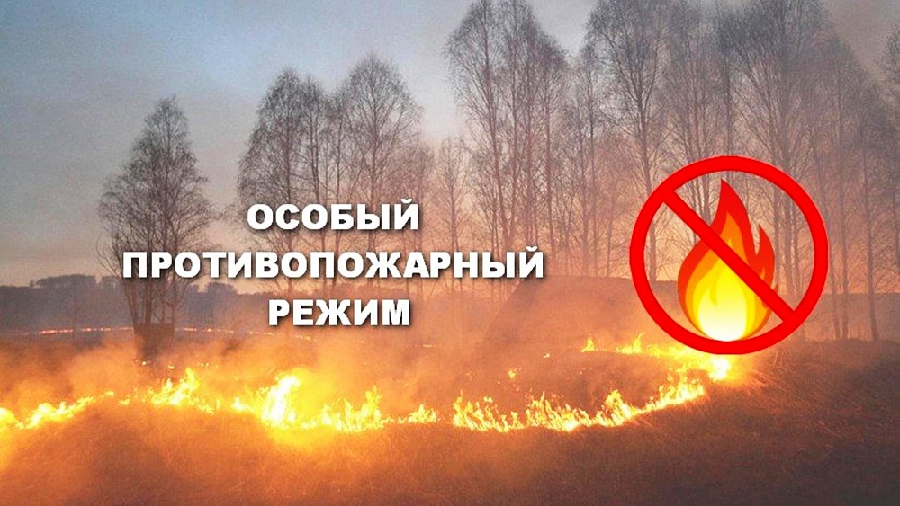Начиная с воскресенья, на Дону вводится особый противопожарный режим