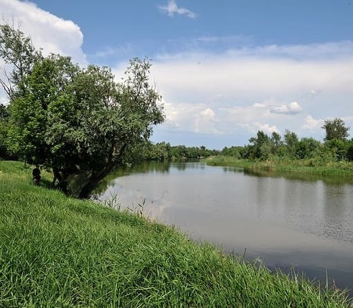 Ростовская область - в числе регионов с наивысшим погодно-климатическим риском