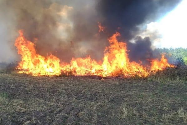 Высокая пожароопасность сохраняется в Ростовской области